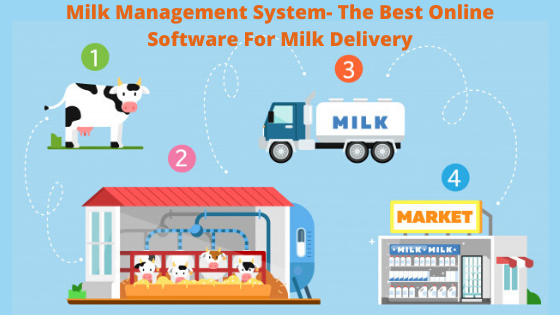 Milk Management System- The Best Online Software For Milk Delivery