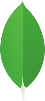 master software solutions, mysql, database, logo