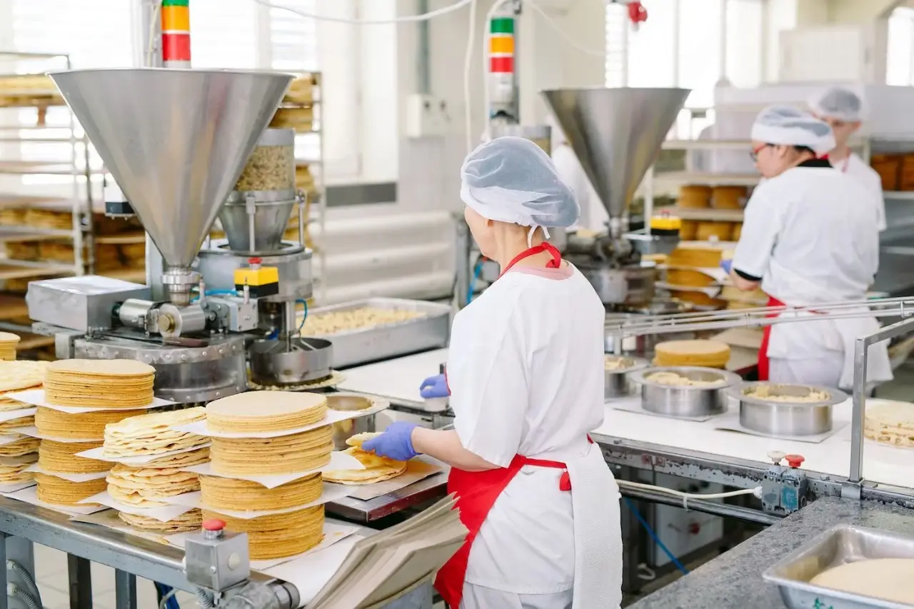 master-software-solutions-founded-by-ravi-garg-website-bakery-manufacturing